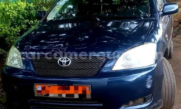 Sayi Na hannu Toyota Corolla Sauran Mota in Yaounde a Babban Kamaru Sayi Na hannu Toyota Corolla Sauran Mota in Yaounde a Babban Kamaru