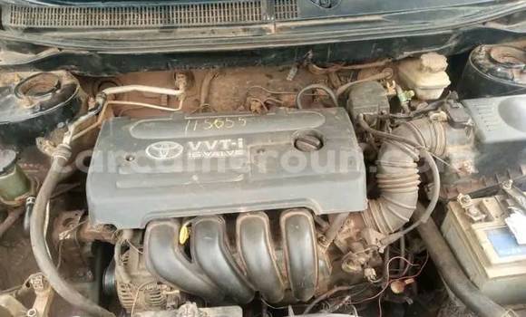 Sayi Na hannu Toyota Matrix Black Mota in Douala a Ƙasar Kamaru Sayi Na hannu Toyota Matrix Black Mota in Douala a Ƙasar Kamaru