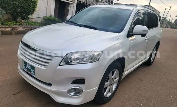 Buy Used Toyota Vanguard White Car in Yaounde in Central Cameroon Buy Used Toyota Vanguard White Car in Yaounde in Central Cameroon