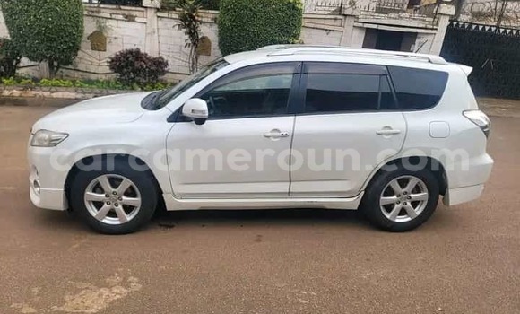 Buy Used Toyota Vanguard White Car in Yaounde in Central Cameroon Buy Used Toyota Vanguard White Car in Yaounde in Central Cameroon