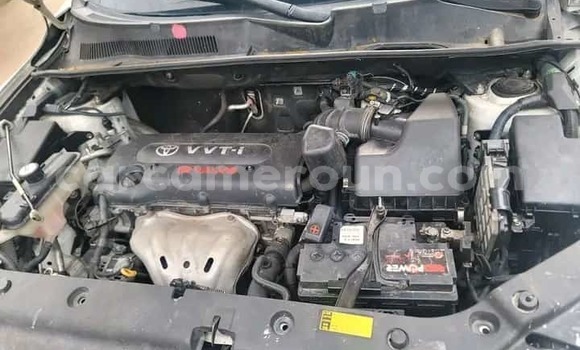 Buy Used Toyota Vanguard White Car in Yaounde in Central Cameroon Buy Used Toyota Vanguard White Car in Yaounde in Central Cameroon