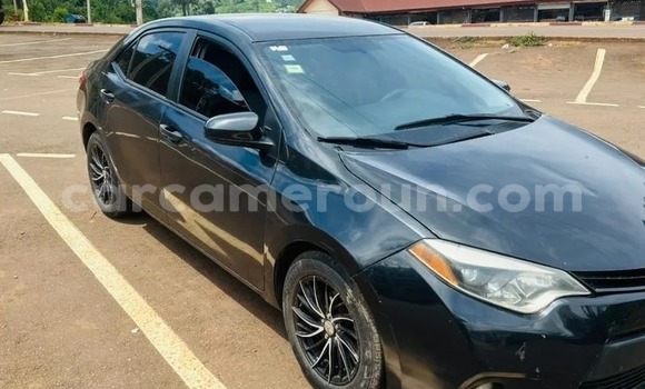 Sayi Na hannu Toyota Corolla Black Mota in Yaounde a Babban Kamaru Sayi Na hannu Toyota Corolla Black Mota in Yaounde a Babban Kamaru
