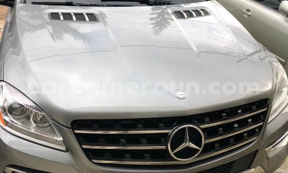 Acheter Occasion Voiture Mercedes‒Benz ML–Class Gris à Douala, Littoral Cameroon