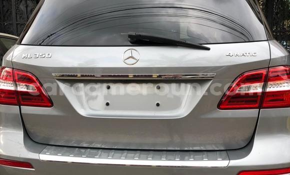 Buy Used Mercedes‒Benz ML–Class Silver Car in Douala in Littoral Cameroon Buy Used Mercedes‒Benz ML–Class Silver Car in Douala in Littoral Cameroon