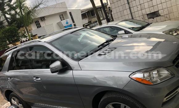 Buy Used Mercedes‒Benz ML–Class Silver Car in Douala in Littoral Cameroon Buy Used Mercedes‒Benz ML–Class Silver Car in Douala in Littoral Cameroon