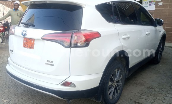 Buy Used Toyota RAV4 White Car in Douala in Littoral Cameroon Buy Used Toyota RAV4 White Car in Douala in Littoral Cameroon