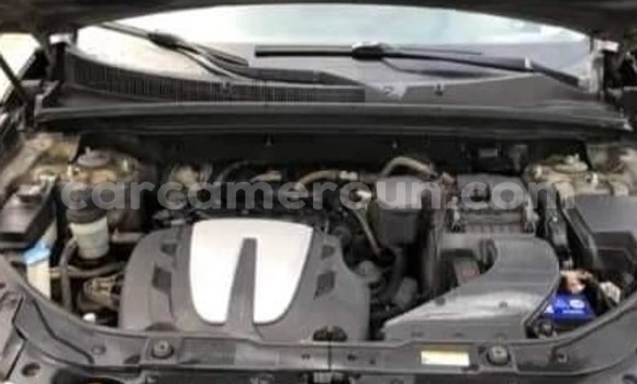 Sayi Na hannu Kia Sorento Black Mota in Yaounde a Babban Kamaru Sayi Na hannu Kia Sorento Black Mota in Yaounde a Babban Kamaru