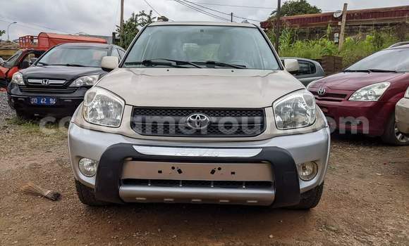 Acheter Occasion Voiture Toyota RAV4 Marron à Yaoundé, Central Cameroon Acheter Occasion Voiture Toyota RAV4 Marron à Yaoundé, Central Cameroon