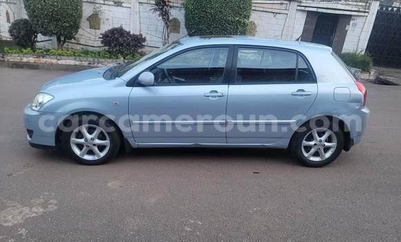 Acheter Occasion Voiture Toyota Runx Gris à Yaoundé, Central Cameroon Acheter Occasion Voiture Toyota Runx Gris à Yaoundé, Central Cameroon