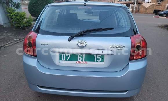 Acheter Occasion Voiture Toyota Runx Gris à Yaoundé, Central Cameroon Acheter Occasion Voiture Toyota Runx Gris à Yaoundé, Central Cameroon