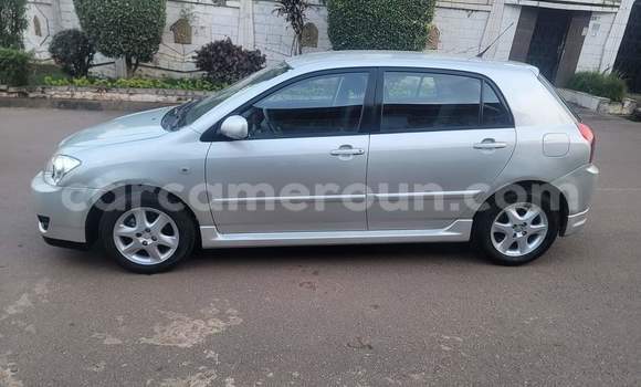 Buy Used Toyota Corolla Silver Car in Yaounde in Central Cameroon Buy Used Toyota Corolla Silver Car in Yaounde in Central Cameroon