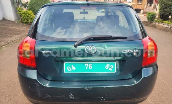 Buy Used Toyota Corolla Silver Car in Yaounde in Central Cameroon Buy Used Toyota Corolla Silver Car in Yaounde in Central Cameroon
