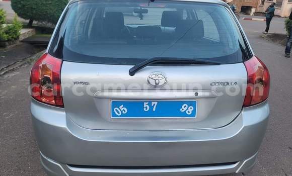 Buy Used Toyota Corolla Silver Car in Yaounde in Central Cameroon Buy Used Toyota Corolla Silver Car in Yaounde in Central Cameroon