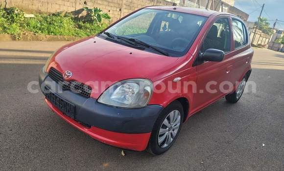 Buy Used Toyota Yaris Red Car in Yaounde in Central Cameroon