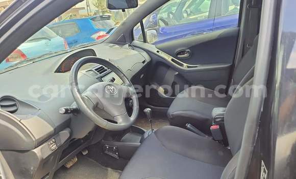 Buy Used Toyota Vitz Blue Car in Yaounde in Central Cameroon Buy Used Toyota Vitz Blue Car in Yaounde in Central Cameroon