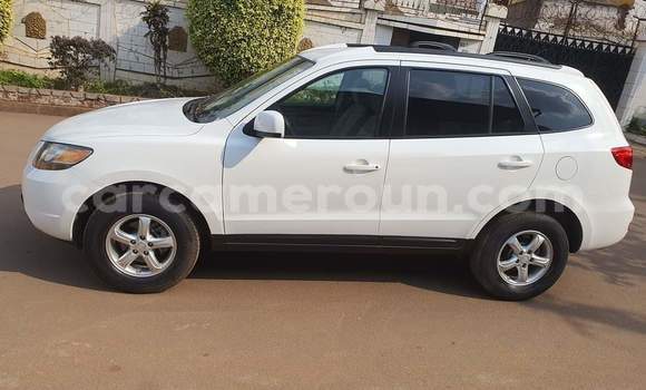 Buy Used Hyundai Santa Fe White Car in Yaounde in Central Cameroon Buy Used Hyundai Santa Fe White Car in Yaounde in Central Cameroon