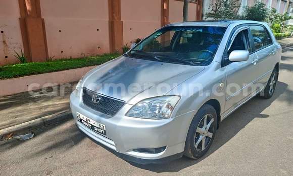 Sayi Na hannu Toyota Corolla White Mota in Yaounde a Babban Kamaru