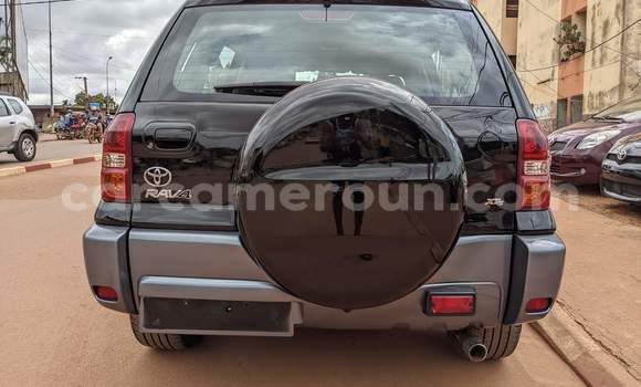 Acheter Occasion Voiture Toyota RAV4 Noir à Yaoundé, Central Cameroon Acheter Occasion Voiture Toyota RAV4 Noir à Yaoundé, Central Cameroon