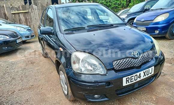 Buy Used Toyota Yaris Blue Car in Yaounde in Central Cameroon Buy Used Toyota Yaris Blue Car in Yaounde in Central Cameroon