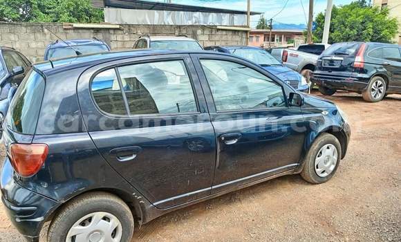 Buy Used Toyota Yaris Blue Car in Yaounde in Central Cameroon Buy Used Toyota Yaris Blue Car in Yaounde in Central Cameroon