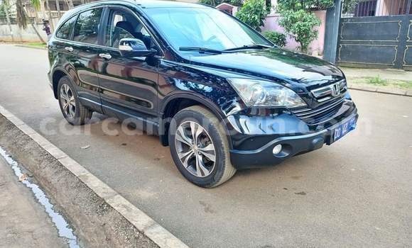 Buy Used Honda CR–V Black Car in Yaounde in Central Cameroon