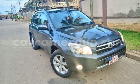 Buy Used Toyota RAV4 Black Car in Yaounde in Central Cameroon Buy Used Toyota RAV4 Black Car in Yaounde in Central Cameroon