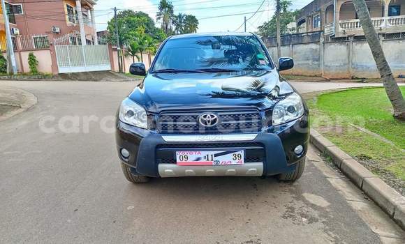 Buy Used Toyota RAV4 Blue Car in Yaounde in Central Cameroon Buy Used Toyota RAV4 Blue Car in Yaounde in Central Cameroon