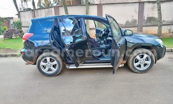 Buy Used Toyota RAV4 Blue Car in Yaounde in Central Cameroon Buy Used Toyota RAV4 Blue Car in Yaounde in Central Cameroon