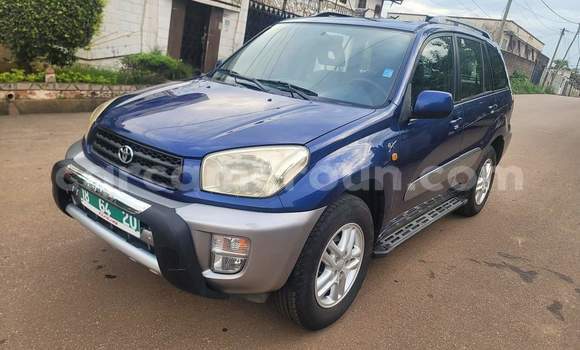 Sayi Na hannu Toyota RAV4 Blue Mota in Yaounde a Babban Kamaru