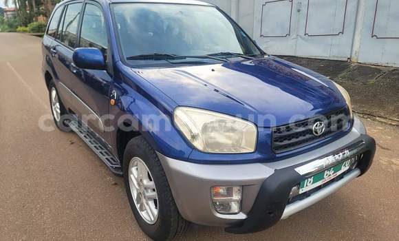 Buy Used Toyota RAV4 Blue Car in Yaounde in Central Cameroon Buy Used Toyota RAV4 Blue Car in Yaounde in Central Cameroon
