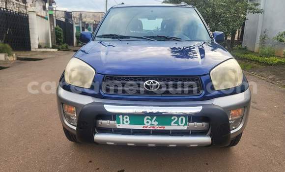 Buy Used Toyota RAV4 Blue Car in Yaounde in Central Cameroon Buy Used Toyota RAV4 Blue Car in Yaounde in Central Cameroon