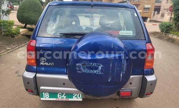 Buy Used Toyota RAV4 Blue Car in Yaounde in Central Cameroon Buy Used Toyota RAV4 Blue Car in Yaounde in Central Cameroon