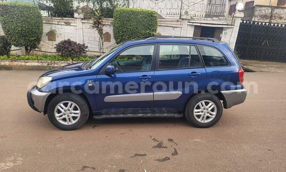 Buy Used Toyota RAV4 Blue Car in Yaounde in Central Cameroon Buy Used Toyota RAV4 Blue Car in Yaounde in Central Cameroon