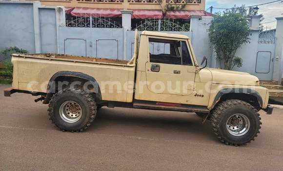 Buy Used Jeep Wrangler Brown Car in Yaounde in Central Cameroon