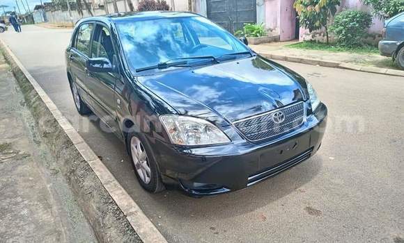 Acheter Occasion Voiture Toyota Corolla Noir à Yaoundé, Central Cameroon