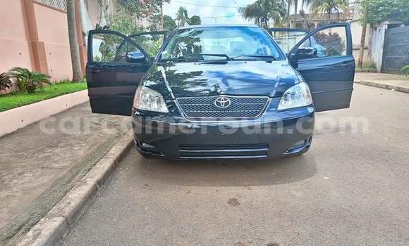 Buy Used Toyota Corolla Black Car in Yaounde in Central Cameroon Buy Used Toyota Corolla Black Car in Yaounde in Central Cameroon