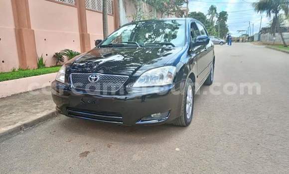 Buy Used Toyota Corolla Black Car in Yaounde in Central Cameroon Buy Used Toyota Corolla Black Car in Yaounde in Central Cameroon