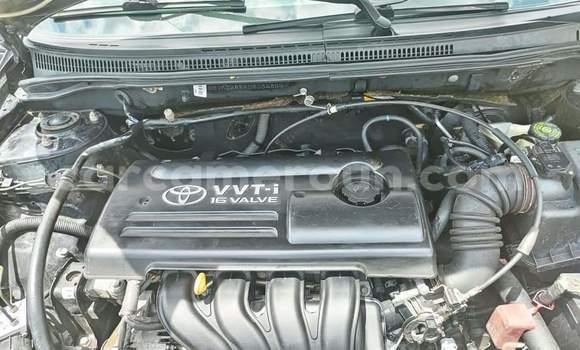 Buy Used Toyota Corolla Black Car in Yaounde in Central Cameroon Buy Used Toyota Corolla Black Car in Yaounde in Central Cameroon