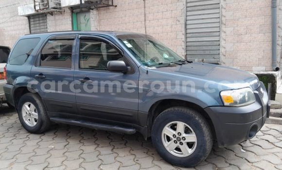 Acheter Occasion Voiture Ford Escape Autre à Douala, Littoral Cameroon
