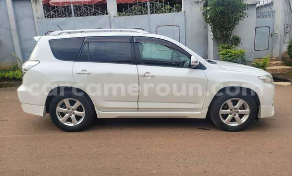 Buy Used Toyota RAV4 White Car in Yaounde in Central Cameroon