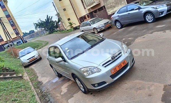 Buy Used Toyota Corolla Silver Car in Yaounde in Central Cameroon Buy Used Toyota Corolla Silver Car in Yaounde in Central Cameroon