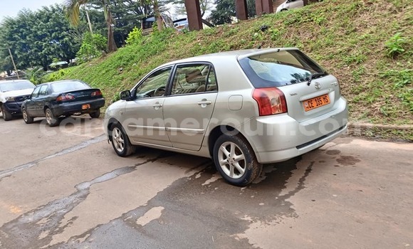 Buy Used Toyota Corolla Silver Car in Yaounde in Central Cameroon Buy Used Toyota Corolla Silver Car in Yaounde in Central Cameroon