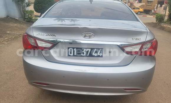 Acheter Occasion Voiture Hyundai Sonata Gris à Yaoundé, Central Cameroon Acheter Occasion Voiture Hyundai Sonata Gris à Yaoundé, Central Cameroon