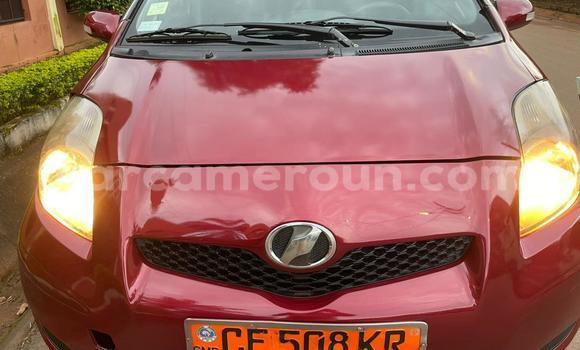 Buy Used Toyota Yaris Red Car in Yaounde in Central Cameroon