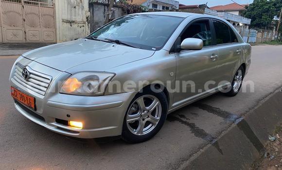 Buy Used Toyota Avensis Silver Car in Yaounde in Central Cameroon