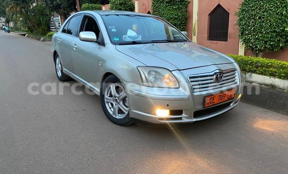 Buy Used Toyota Avensis Silver Car in Yaounde in Central Cameroon Buy Used Toyota Avensis Silver Car in Yaounde in Central Cameroon