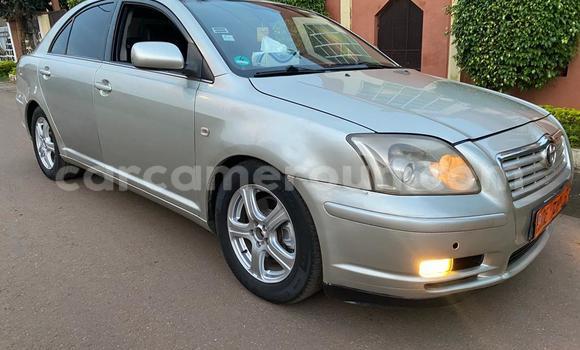 Buy Used Toyota Avensis Silver Car in Yaounde in Central Cameroon Buy Used Toyota Avensis Silver Car in Yaounde in Central Cameroon