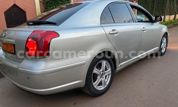 Buy Used Toyota Avensis Silver Car in Yaounde in Central Cameroon Buy Used Toyota Avensis Silver Car in Yaounde in Central Cameroon