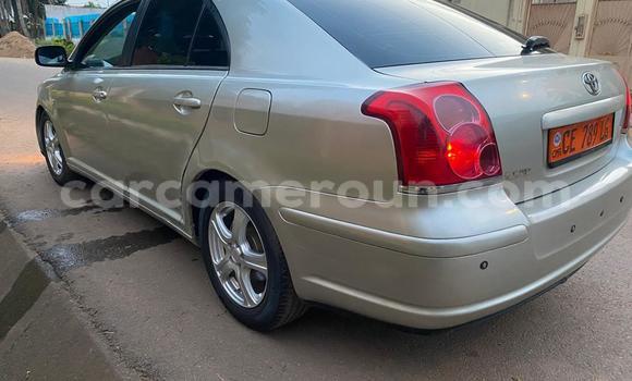 Buy Used Toyota Avensis Silver Car in Yaounde in Central Cameroon Buy Used Toyota Avensis Silver Car in Yaounde in Central Cameroon