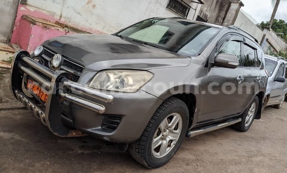 Buy Used Toyota RAV4 Silver Car in Yaounde in Central Cameroon Buy Used Toyota RAV4 Silver Car in Yaounde in Central Cameroon